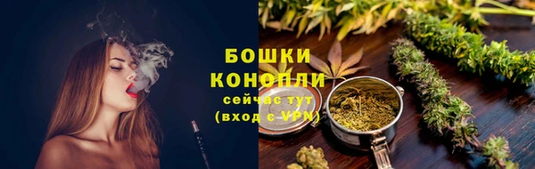 гидра Каменногорск