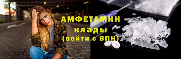 гидра Каменногорск