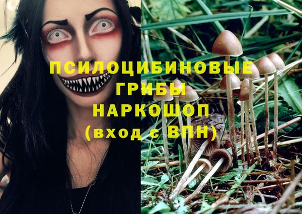 амфетамин Карпинск