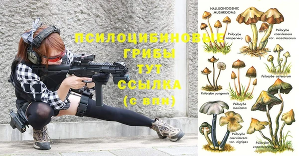 амфетамин Карпинск