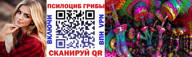 Псилоцибиновые грибы Magic Shrooms  Купить закладки  Гусиноозёрск 